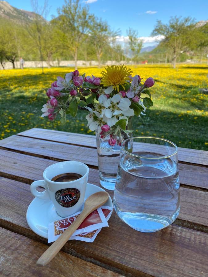 Peraj Guesthouse Vermosh エクステリア 写真